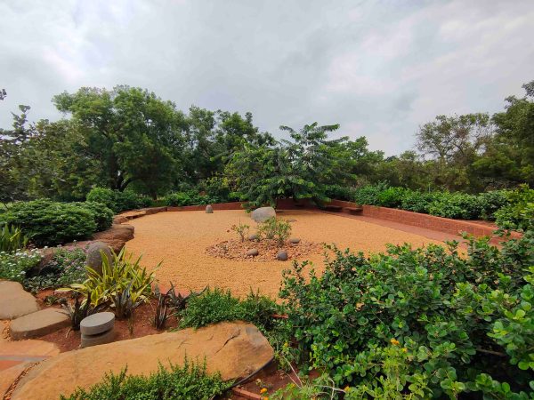 Garden of the Unexpected - Adolescence