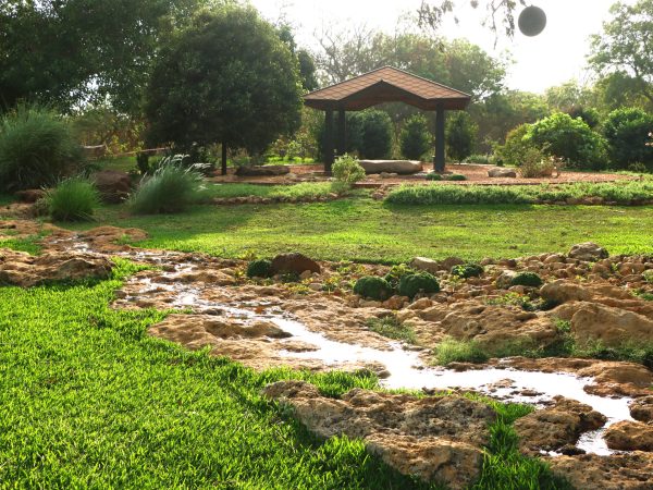 Garden of Unexpected -  Youthfulness